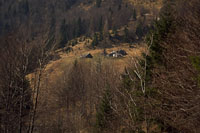 Predplanina Osredek lei 1100 m visoko pod Kamnikim vrhom (T. Cevc, 1990).